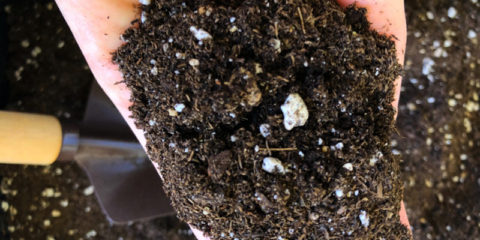自家製コンポスト（堆肥）の熟成期間と使用する際の土の配合とポイント