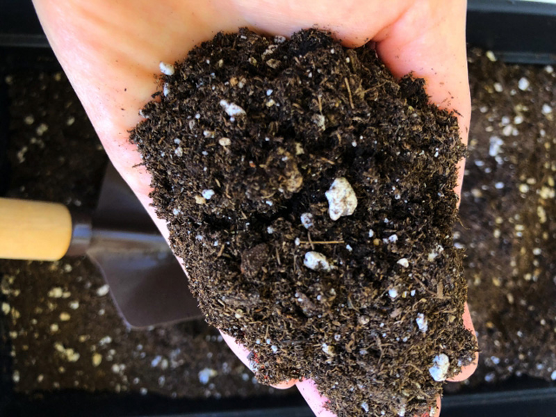 自家製コンポスト（堆肥）の熟成期間と使用する際の土の配合とポイント